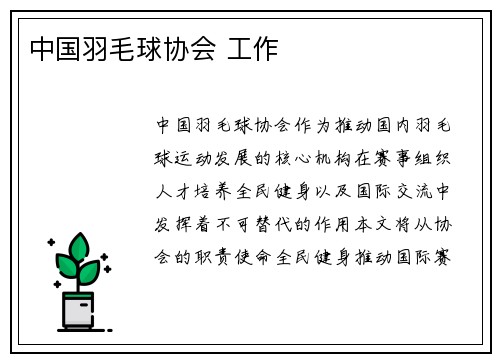 中国羽毛球协会 工作